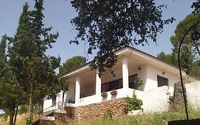 Bonita casa blanca en el bosque.